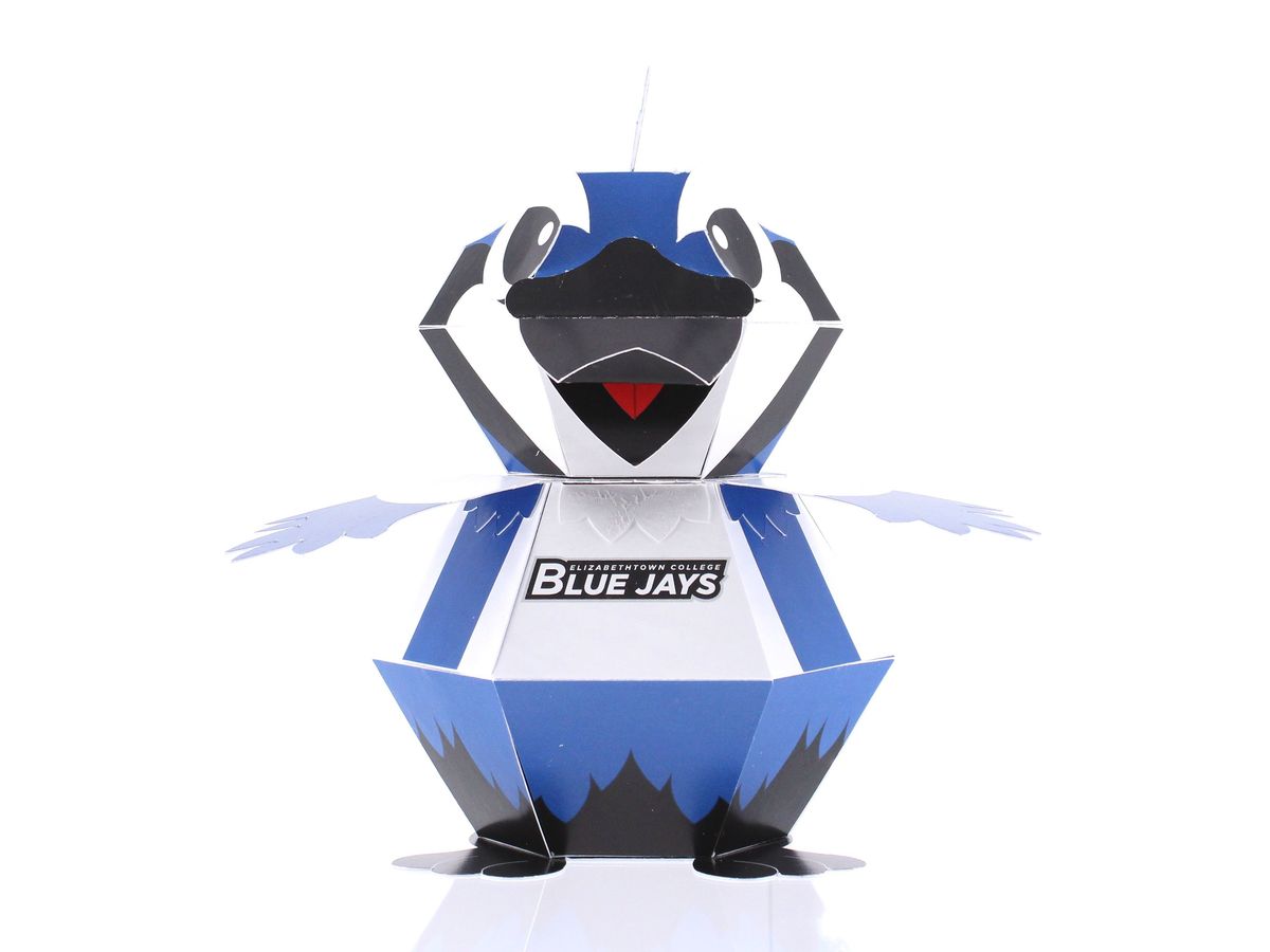 Elizabethtown College Rocks It's Blue Jay! Thumb Image