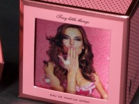 Victoria's Secret Perfume Box Image