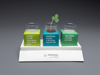 Brighthouse Financial Planter Image